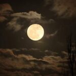 Mark Your Calendars: Chitra Pournami 2023 Date Revealed!