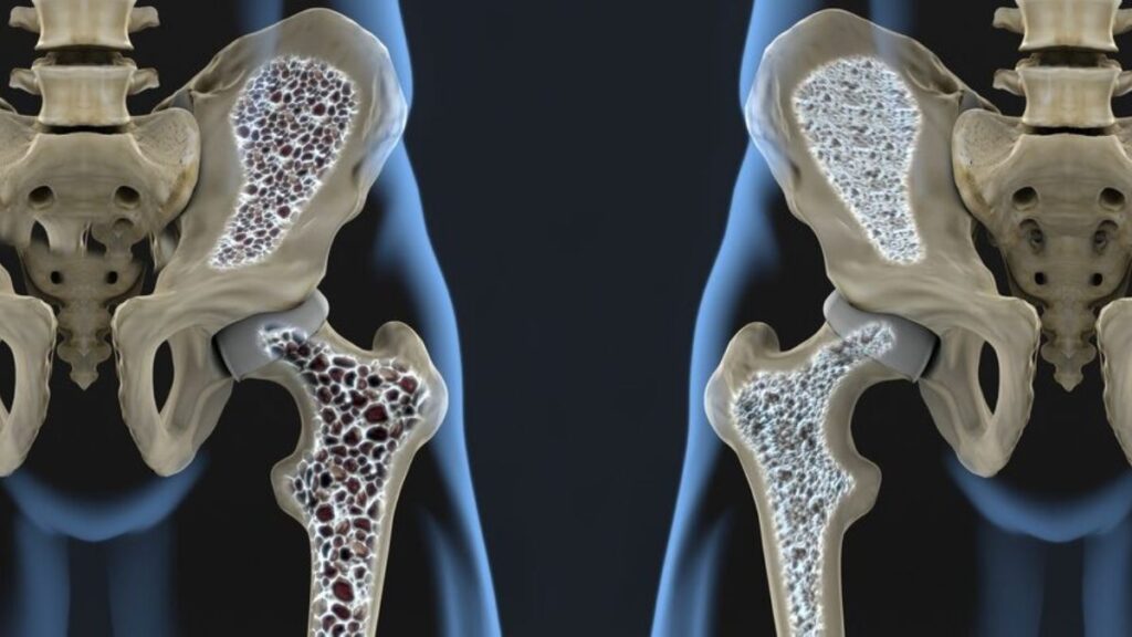 The Science Behind Osteopur: How It Supports Bone Health